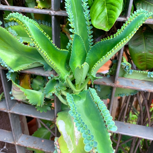 Meet your Posher, Cierra - Picture 16 of 16